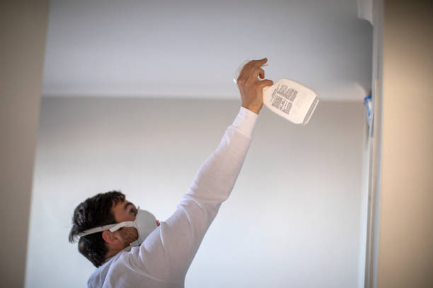 Best Attic Mold Remediation in Vauxhall, NJ