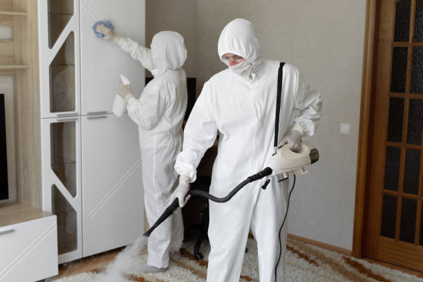 Best Emergency Mold Remediation in Vauxhall, NJ