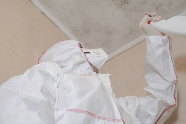 Best Residential Mold Remediation in Vauxhall, NJ