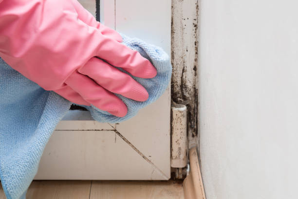 Best Post-Remediation Services in Vauxhall, NJ